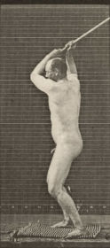 Plate 308 Throwing the hammer — figure reference
